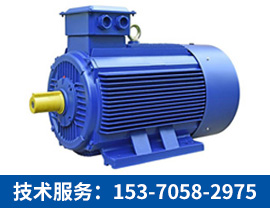三相異步電機【技術服務：153-7058-2975】